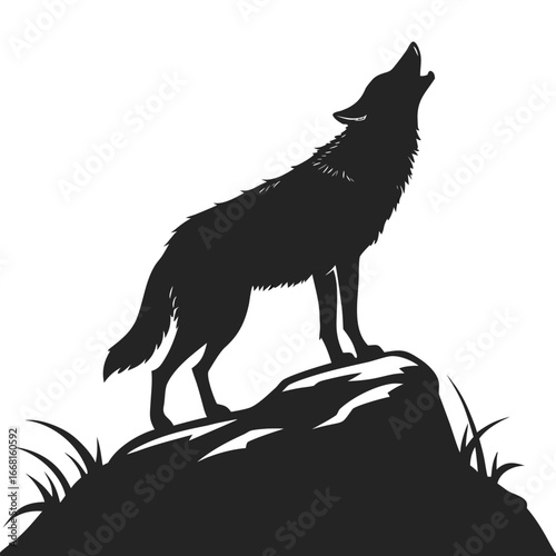 Coyote on rocky outcrop silhouette