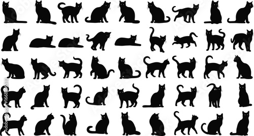 Black cat silhouettes, sitting cats, walking cats, pet feline poses, animal shadow design, domestic cat clipart, vector illustration, cat collection