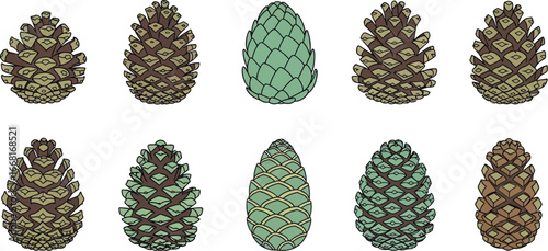 Collection of diverse pine cones in natural and green tones