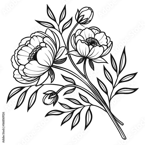 Elegant poppy doodle bouquet vector set, outlined in fine black contour style. Features blooming poppies, unopened buds, and leafy stems, arranged with soft wildflowers and greenery. Artistic monochro