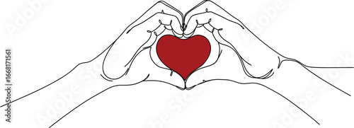 Hands forming a heart shape around a vibrant red heart