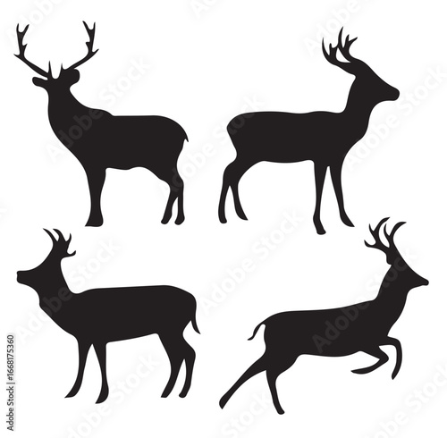 moose 