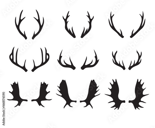 sets of Moose and deer horn 