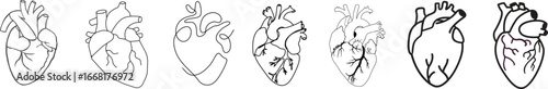 Anatomical heart icon set.Human anatomy internal organ set with brain lung intestine heart kidney liver and stomatch.Healthy Cardiovascular Organ Symbol Collection on White Background and red.