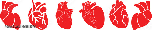 Anatomical heart icon set.Human anatomy internal organ set with brain lung intestine heart kidney liver and stomatch.Healthy Cardiovascular Organ Symbol Collection on White Background and red.