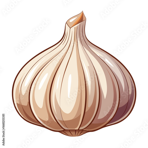 onion isolated on white background