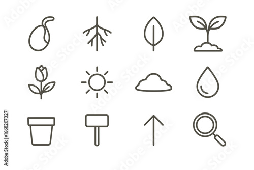 Botanical Icon Set. Outline icon set of botanical illustration of sprouting: seed diagram, root system, leaf,