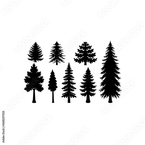 8 different sequoia tree silhouette vector icons s