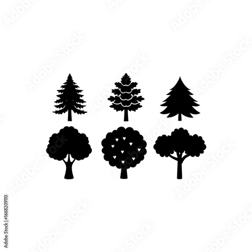6 different temperate forest tree cluster silhouet