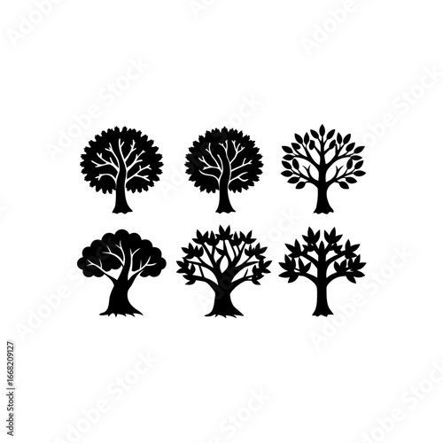 6 different teak tree silhouette vector icons set