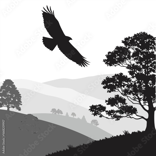 Hawk gliding over valley silhouette