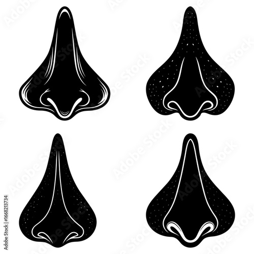 A collection of four stylized noses in black and white showing different textures and shapes of noses