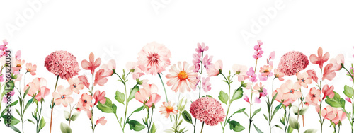 Wild Field flowers Watercolor frame illustration Botanical hand drawn garden plants. Seamless pattern border herbs and leaves for bouquets and natural elements for cards and invitation