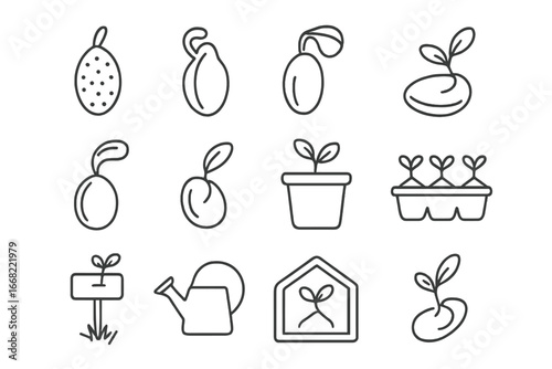 Exotic Seed Icons. Outline icon set of exotic fruit seeds and sprouts: dragon fruit seed, papaya seed, mango