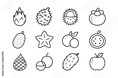 Exotic Fruit Icon Set. Outline icon set of exotic fruits: dragon fruit, durian, rambutan, mangosteen,