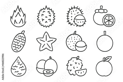 Exotic Fruit Icon Set. Outline icon set of exotic fruits: dragon fruit, durian, rambutan, mangosteen,