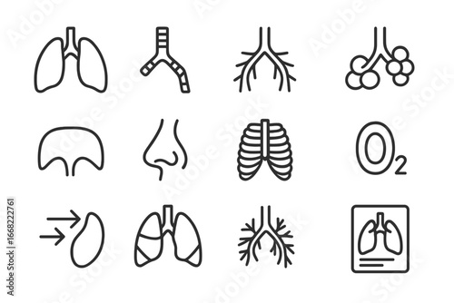 Respiratory System Icons. Outline icon set of respiratory system poster: lungs, trachea, bronchi, alveoli,