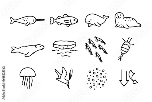 Arctic Marine Icons Grid. Outline icon set of marine life in the Arctic: narwhal, Arctic cod, beluga whale,