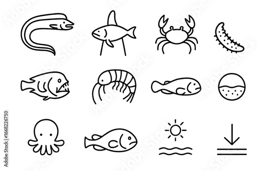 Abyssal Species Icons. Outline icon set of abyssal zone species: gulper eel, tripod fish, deep-sea crab,