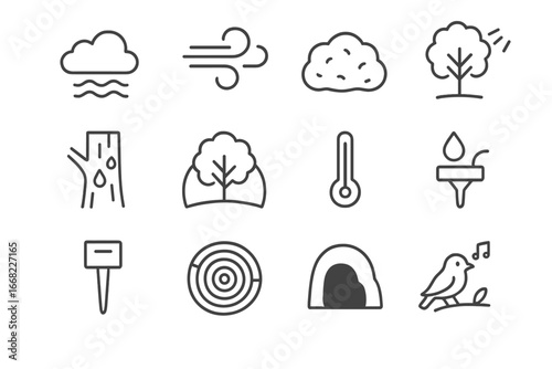 Forest Microclimates Icons. Outline icon set of forest microclimates: fog bank, cool breeze, moss mat,