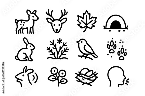Seasonal Wildlife Icons. Outline icon set of seasonal forest wildlife: fawn in spring, shedding antlers,
