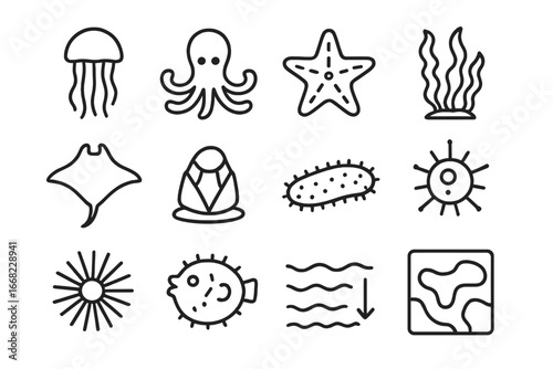 Marine Biodiversity Icons. Outline icon set of marine biodiversity: jellyfish, octopus, sea star, kelp forest,