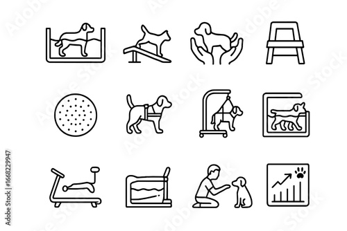 Animal Rehab Icons. Outline icon set of animal physical therapy: therapy pool, rehab ramp, vet hands, step