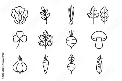 Edible Plant Icons. Outline icon set of edible plants: lettuce, herb sprig, wild onion, dandelion leaf, clover