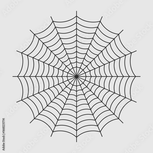 spider and web