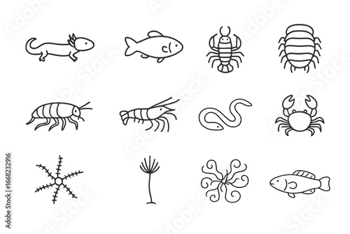 Cave Creature Icons. Outline icon set of iconic deep cave animals: olm salamander, blind cavefish, translucent