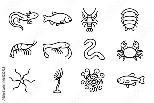 Cave Creature Icons. Outline icon set of iconic deep cave animals: olm salamander, blind cavefish, translucent