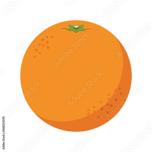 Whole orange fruit vector illustration citrus food healthy ingredient fresh produce isolated graphic