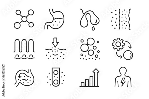 Digestion Icon Set. Outline icon set of digestion and nutrient absorption: food molecule, stomach acid, bile