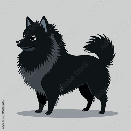 a-fluffy-pomeranian-dog-standing-on-a-light-gray--.eps