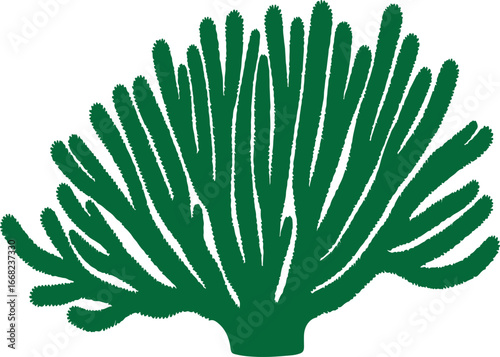 Coral in silhouette white background.full image.