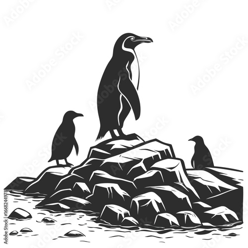 Penguin colony on rocky shore silhouette