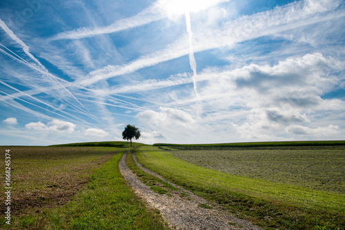 Am Ende der Strasse