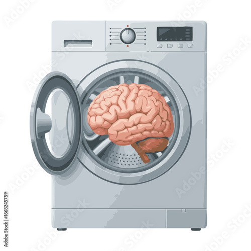 Brain inside front-loading washing machine drum