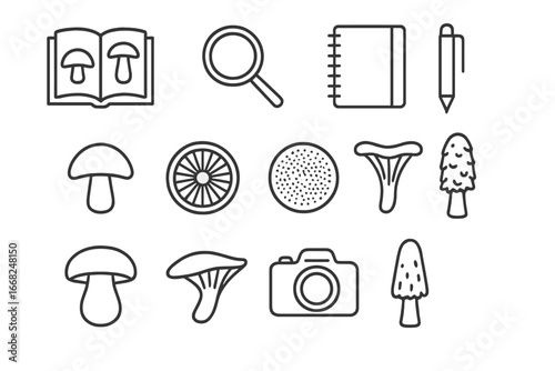 Mushroom Identification Icons. Outline icon set of edible mushroom identification: field guide, magnifying