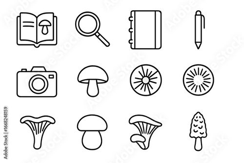 Mushroom Identification Icons. Outline icon set of edible mushroom identification: field guide, magnifying