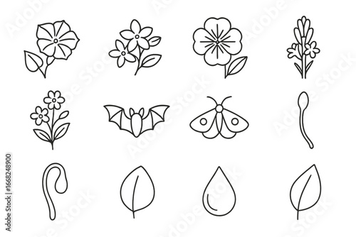 Night-Blooming Flower Icons. Outline icon set of night-blooming flowers: moonflower, jasmine, evening primrose