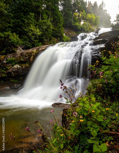 A cascading waterfall plunges over dark rocks, surrounded by lush greenery and vibrant wildflowers.