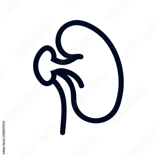 Kidney icon in minimalist style on white background Concept of icon  
