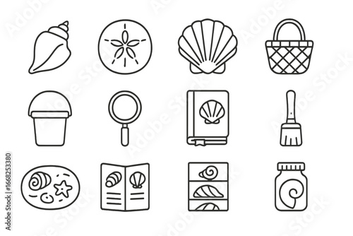 Seashell Collecting Icons. Outline icon set of seashell collecting hobby: conch shell, sand dollar, clam shell