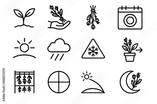 Seasonal Herb Icon Set. Outline icon set of seasonal herb picking: spring sprout, summer harvest, fall drying,