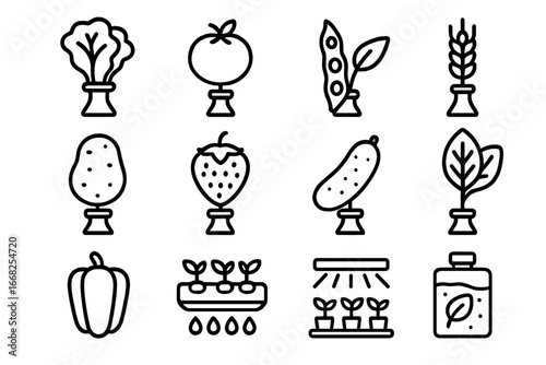 Space Crop Icons. Outline icon set of experimental space crops: lettuce, tomato, soybean, wheat, potato,