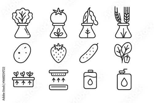 Space Crop Icons. Outline icon set of experimental space crops: lettuce, tomato, soybean, wheat, potato,