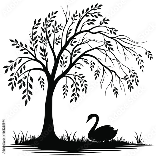 Swan resting by willow tree silhouette