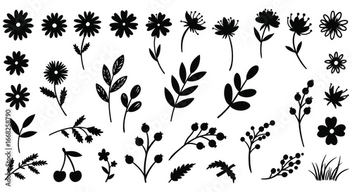 Collection of various black silhouettes of flowers and leaves on white background