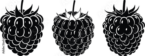 Black and White Blackberry or Raspberry Vector Icons